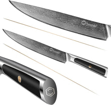 Load image into Gallery viewer, 【Elite A Series】Sunnecko 8 Inch Meat Turkey Brisket Ham BBQ Roast Damascus Carving Knife VG10