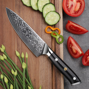 【Classic Series】6.5 Inch Professional Chef Knife for Home Chef VG10 Damascus