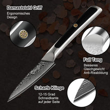 Load image into Gallery viewer, 【Elite A Series】Sunnecko Sharp Chef 3.5 Inch Damascus Paring Knife VG10 Steel
