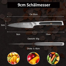 Load image into Gallery viewer, 【Elite A Series】Sunnecko Sharp Chef 3.5 Inch Damascus Paring Knife VG10 Steel
