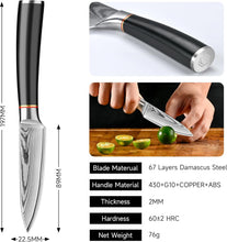 Load image into Gallery viewer, 【Chang B Series】3.5" Small Damacus Kitchen Paring Knife for Fruit Vegetable VG10 Core
