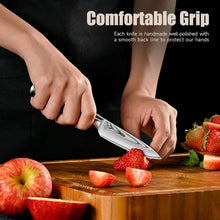 Load image into Gallery viewer, 【Chang B Series】3.5" Small Damacus Kitchen Paring Knife for Fruit Vegetable VG10 Core
